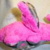 dragonplush7-6