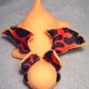 Orange Fire-Bellied Dragonlet
