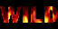 wildboysfinal
