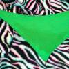 pricklesbandana2