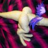 prickleswings1