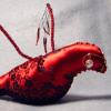 thebridesbird2